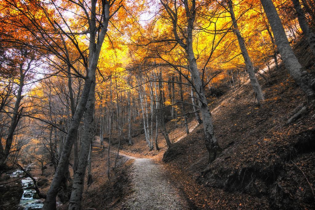 B&B Marconi Montefalcone Appennino Εξωτερικό φωτογραφία